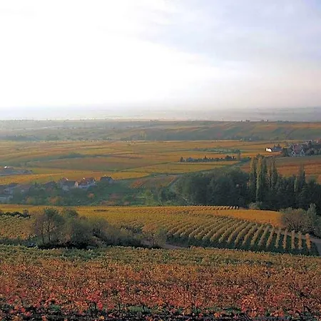 Sankt Annagut Burrweiler